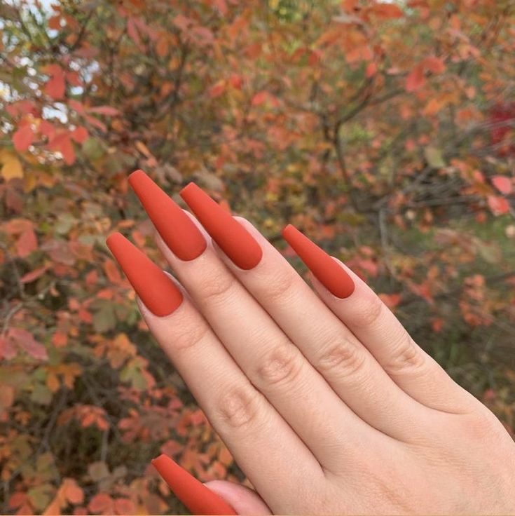 Fall Nails